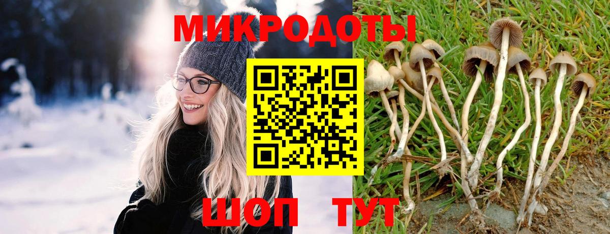Отрадный  Псилоцибиновые грибы прущие грибы  Вход с VPN 